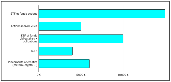 exemple bilan liste placements